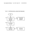 USER TARGETED MEDICAL IMAGING AND INFORMATION PACKAGING, COMPRESSION AND     DISTRIBUTION SYSTEM diagram and image