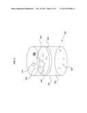 Plasmon Filter diagram and image