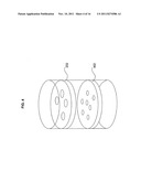 Plasmon Filter diagram and image