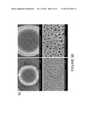 CONTRAST AGENTS IN POROUS PARTICLES diagram and image