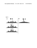 CHIMERIC ACTIVATORS: QUANTITATIVELY DESIGNED PROTEIN THERAPEUTICS AND USES     THEREOF diagram and image