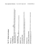 METHODS AND COMPOSITIONS TO GENERATE AND CONTROL THE EFFECTOR PROFILE OF T     CELLS BY SIMULTANEOUS LOADING AND ACTIVATION OF SELECTED SUBSETS OF     ANTIGEN PRESENTING CELLS diagram and image