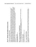 METHODS AND COMPOSITIONS TO GENERATE AND CONTROL THE EFFECTOR PROFILE OF T     CELLS BY SIMULTANEOUS LOADING AND ACTIVATION OF SELECTED SUBSETS OF     ANTIGEN PRESENTING CELLS diagram and image