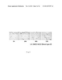 COMPOSITION FOR IMPROVING INFLAMMATORY DISEASE USING ABH ANTIGENS diagram and image