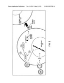 T-Cell Immunogens Derived from Anti-Viral Proteins and Methods of Using     Same diagram and image