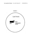 ANTIGENIC COMPOSITIONS diagram and image