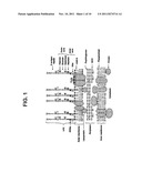 Broad Spectrum Vaccine Against Non-Typhoidal Salmonella diagram and image