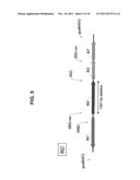 Broad Spectrum Vaccine Against Non-Typhoidal Salmonella diagram and image