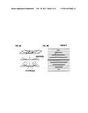 METHOD OF DNA ANALYSIS USING MICRO/NANOCHANNEL diagram and image