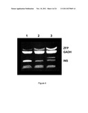 Method for the detection of gene transcripts in blood and uses thereof diagram and image