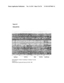 Method for the detection of gene transcripts in blood and uses thereof diagram and image