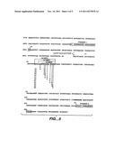 HYBRIDIZATION AND MISMATCH DISCRIMINATION USING OLIGONUCLEOTIDES     CONJUGATED TO MINOR GROOVE BINDERS diagram and image