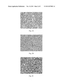 BIOMARKER FOR DIAGNOSIS OF CANINE CANCER diagram and image