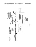 GENES INVOLVED IN ESTROGEN METABOLISM diagram and image