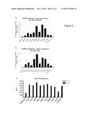 METHODS OF DETERMINING SUSCEPTIBILITY OF TUMORS TO TYROSINE KINASE     INHIBITORS diagram and image