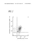 NEGATIVE CORRELATION BETWEEN IRP-2 AND TRANSFERRIN RECEPTOR EXPRESSION AS     A DIAGNOSTIC OF ALZHEIMER S DISEASE diagram and image