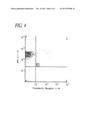 NEGATIVE CORRELATION BETWEEN IRP-2 AND TRANSFERRIN RECEPTOR EXPRESSION AS     A DIAGNOSTIC OF ALZHEIMER S DISEASE diagram and image