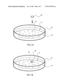 DEVICE FOR MEASURING ACTIVITY OF CULTURED CELLS, MICROCHAMBER AND METHOD     OF MEASURING ACTIVITY OF CULTURED CELLS diagram and image