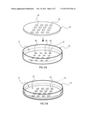 DEVICE FOR MEASURING ACTIVITY OF CULTURED CELLS, MICROCHAMBER AND METHOD     OF MEASURING ACTIVITY OF CULTURED CELLS diagram and image