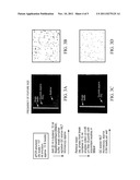 System and Method for Processing a Biological Sample diagram and image