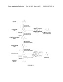 Reduced by-product accumulation for improved production of isobutanol diagram and image