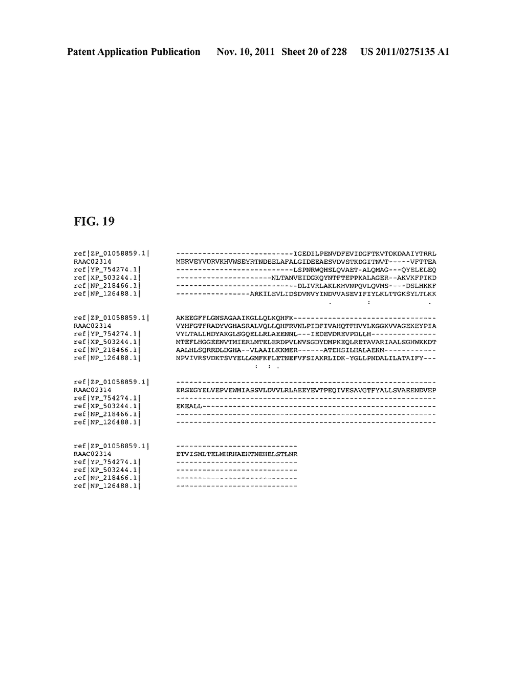 Genetic elements, proteins, and associated methods including application     of additional genetic information to gram (+) thermoacidophiles - diagram, schematic, and image 21