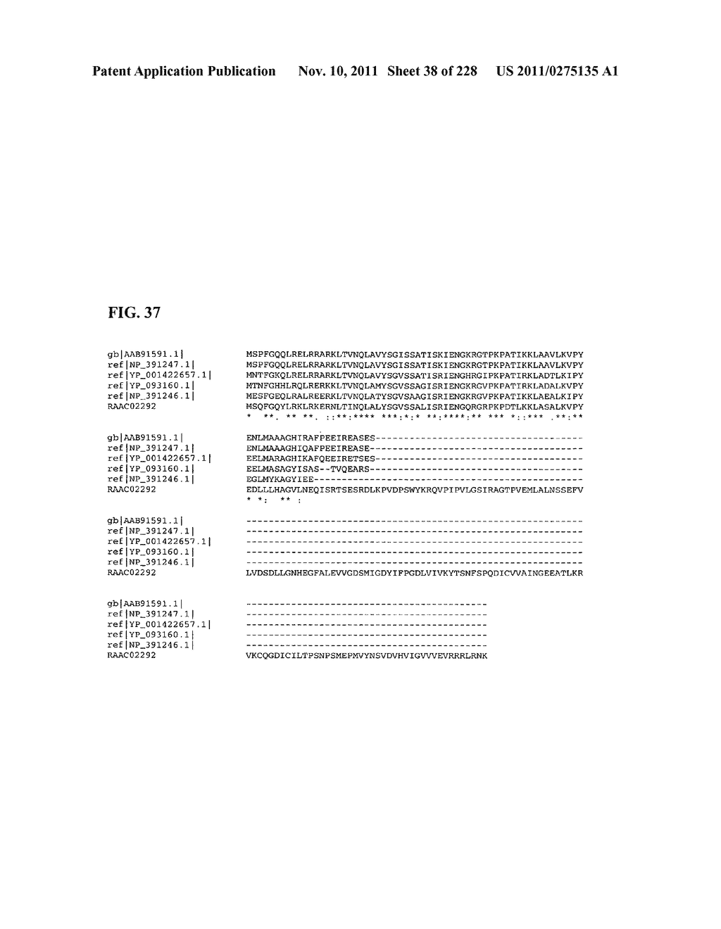 Genetic elements, proteins, and associated methods including application     of additional genetic information to gram (+) thermoacidophiles - diagram, schematic, and image 39