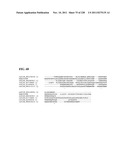 Genetic elements, proteins, and associated methods including application     of additional genetic information to gram (+) thermoacidophiles diagram and image