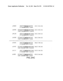 USE OF MULTIPLE RECOMBINATION SITES WITH UNIQUE SPECIFICITY IN     COMBINATIONAL CLONING diagram and image