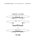 USE OF MULTIPLE RECOMBINATION SITES WITH UNIQUE SPECIFICITY IN     COMBINATIONAL CLONING diagram and image