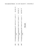 USE OF MULTIPLE RECOMBINATION SITES WITH UNIQUE SPECIFICITY IN     COMBINATIONAL CLONING diagram and image