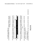 USE OF MULTIPLE RECOMBINATION SITES WITH UNIQUE SPECIFICITY IN     COMBINATIONAL CLONING diagram and image