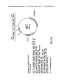 USE OF MULTIPLE RECOMBINATION SITES WITH UNIQUE SPECIFICITY IN     COMBINATIONAL CLONING diagram and image