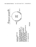 USE OF MULTIPLE RECOMBINATION SITES WITH UNIQUE SPECIFICITY IN     COMBINATIONAL CLONING diagram and image