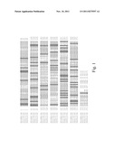 TRUNCATED Cry35 PROTEINS diagram and image