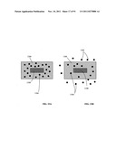 Lumen-traveling biological interface device and method of use diagram and image