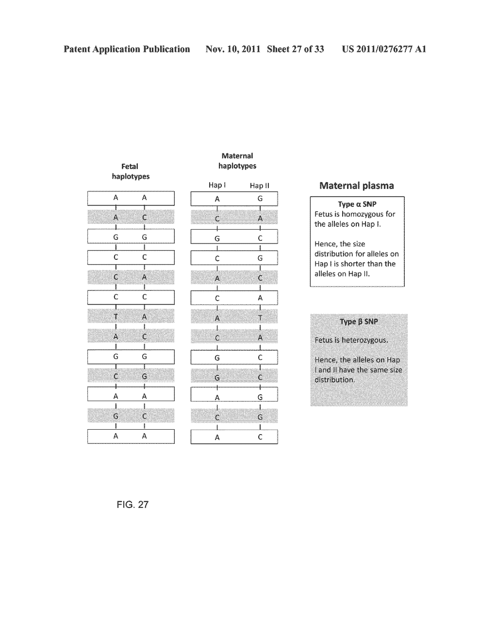 SIZE-BASED GENOMIC ANALYSIS - diagram, schematic, and image 28