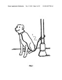 LOCKING PET LEAD SYSTEM COMPRISING A LEASH AND COLLAR TO PREVENT THE THEFT     OF PETS diagram and image