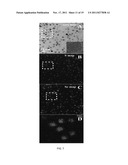 Photovoltaic Devices Employing Ternary Compound Nanoparticles diagram and image