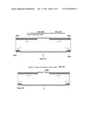 High Density Photodiodes diagram and image