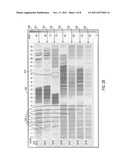 Performing time slice-based visual prediction diagram and image