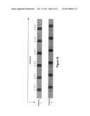 TRANSMIT DIVERSITY FOR ACKNOWLEDGEMENT AND CATEGORY 0 BITS IN A WIRELESS     COMMUNICATION SYSTEM diagram and image