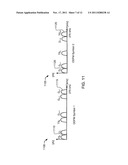 ORTHOGONAL FREQUENCY-DIVISION MULTIPLEXING (OFDM) COMMUNICATION SLOT     STRUCTURES AND METHODS diagram and image