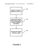 Locally unique node port identifiers diagram and image