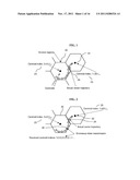 QUANTIZED CHANNEL STATE INFORMATION PREDICTION IN MULTIPLE ANTENNA SYSTEMS diagram and image