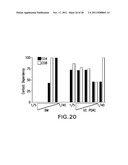 TREATMENT OF DISEASES AND DISORDERS USING PLACENTAL STEM CELLS diagram and image