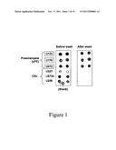 METHODS AND COMPOSITIONS FOR THE DETECTION AND TREATMENT OF PREECLAMPSIA diagram and image