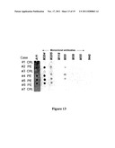 METHODS AND COMPOSITIONS FOR THE DETECTION AND TREATMENT OF PREECLAMPSIA diagram and image