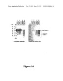 METHODS AND COMPOSITIONS FOR THE DETECTION AND TREATMENT OF PREECLAMPSIA diagram and image