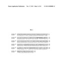 ANTIBODIES RECOGNIZING A CARBOHYDRATE CONTAINING EPITOPE ON CD-43 AND CEA     EXPRESSED ON CANCER CELLS AND METHODS USING SAME diagram and image